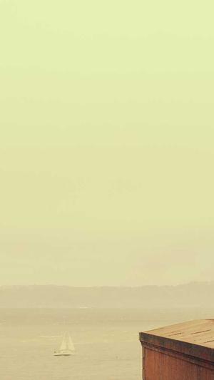 清风算法蜘蛛池截图4