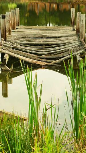 蜘蛛池平台源码截图3