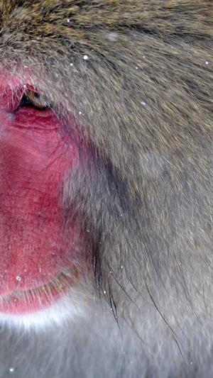 搜狗泛目录批量提交工具截图3