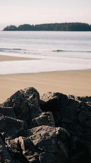 seo排名优化软件截图1