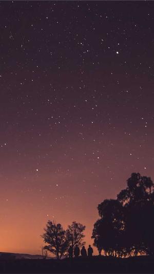 seo优化报价截图1