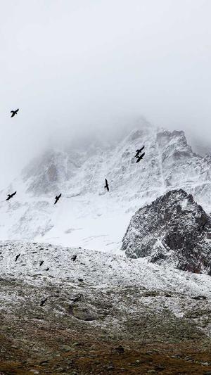蜘蛛池直接上词截图3