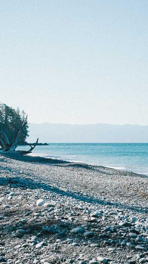 网站建设软件截图4