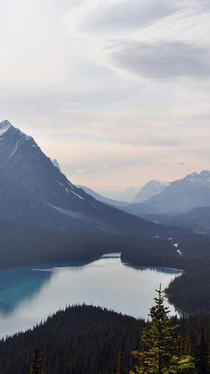 便宜的蜘蛛池怎么用截图1