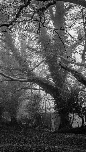 重庆seo网站功能定制截图3