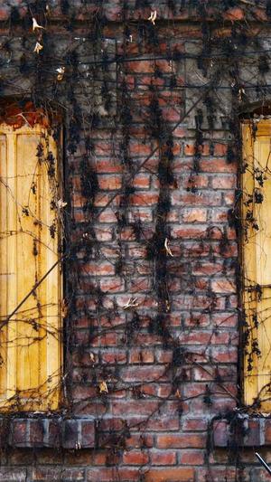 seo排名工具 s截图4