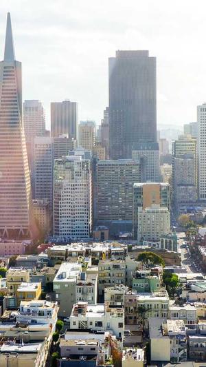 新手怎么做蜘蛛池工作截图3