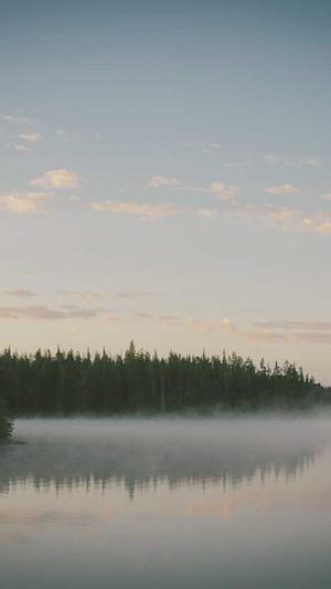 淘宝seo工具截图4