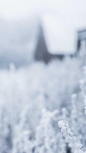 旺道seo系统截图5