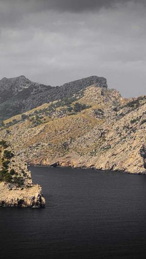 蜘蛛池批量注册截图4