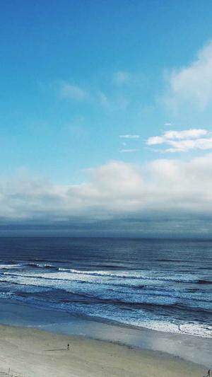 山东省建设厅网站截图1