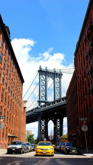 seo优化比较好的网站截图2