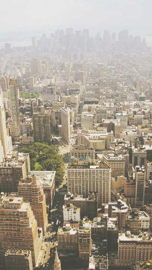 蜘蛛池 变现截图3