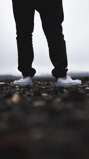 加强网站建设截图4