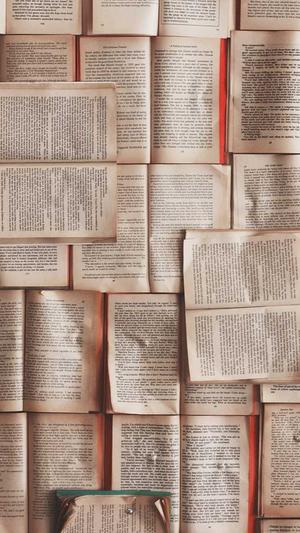 seo软件优化工具截图2