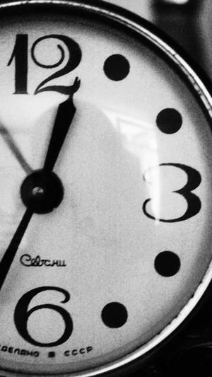 最新泛目录截图3