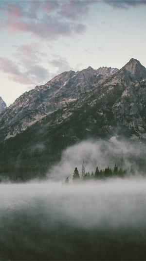 青岛网站建设截图4