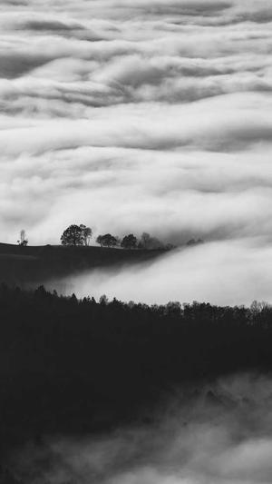 泛域名和泛目录区别截图3