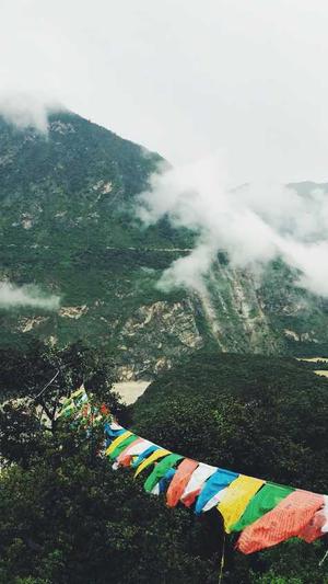 青岛网站建设截图2