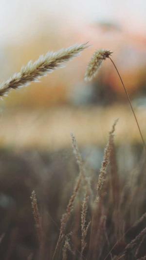 搜狗泛目录截图2