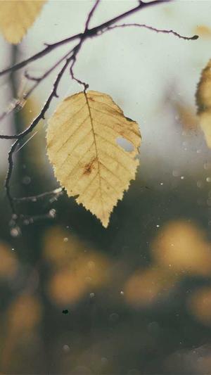 蜘蛛池到底有没有用的截图5