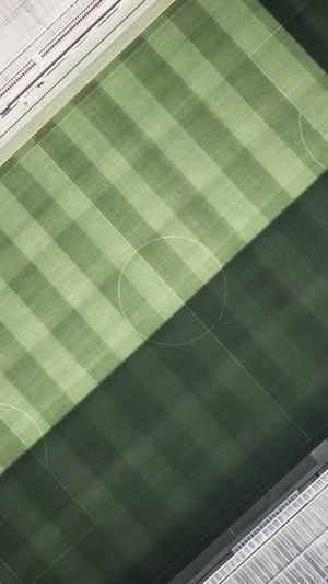 蜘蛛池搭建要求截图1